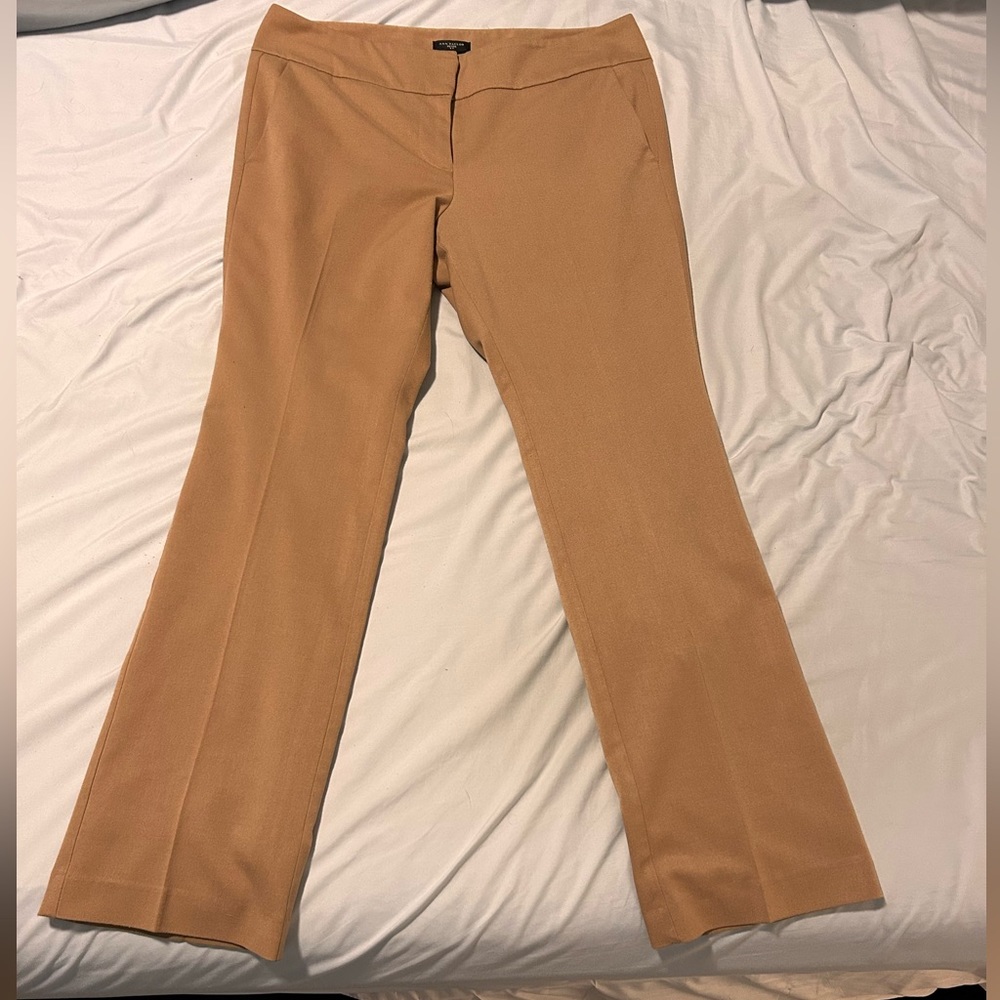 Women’s Ann Taylor petite trousers